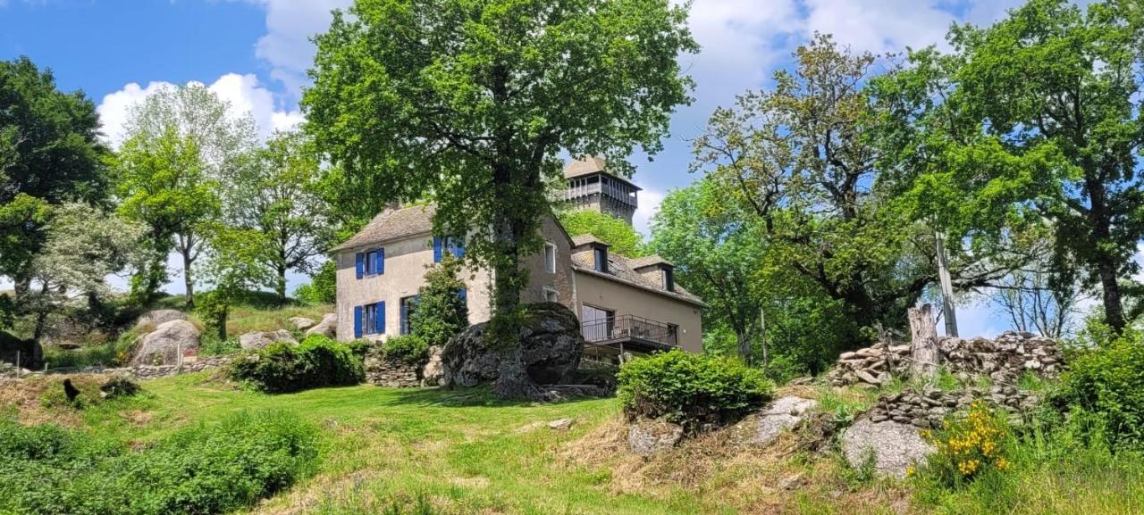 Villa Gite A La Tour De Peyrebrune Alrance Exterior foto